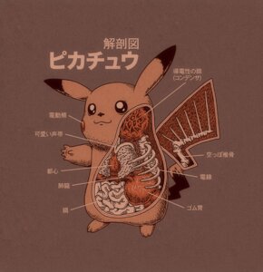 Rating: Safe Score: 0 Tags: 3_toes 5_fingers :3 ambiguous_gender anatomy black_body black_eyes black_fur black_nose black_skin bone e621 feet fingers fur generation_1_pokemon guts heart_symbol internal intestines japanese_text mammal nintendo organs partially_translated pikachu pokemon pokemon_(species) raised_arm red_background rib_cage rodent rosy_cheeks ryan_mauskopf simple_background solo spine standing stomach tail text toes translation_request yellow_background yellow_body yellow_fur User: bunchy7s
