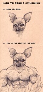 Rating: Safe Score: 0 Tags: 2012 anthro biceps canid canine canis chihuahua clothed clothing domestic_dog draw_the_rest_of_the_fucking_owl e1n e621 educational english_text fur helpful how-to humor informative line_art male mammal monochrome muscular muscular_anthro muscular_male pecs sketch solo text topless toy_dog User: bunchy7s