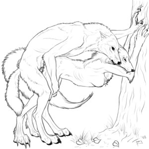 Rating: Explicit Score: 0 Tags: 1:1 against_natural_surface against_surface against_tree annushk anthro anthro_on_anthro canid canine canis duo e621 erection female female_penetrated from_behind_position genitals intraspecies male male/female male_penetrating male_penetrating_female mammal monochrome mythological_canine mythological_creature mythology nude outside penetration penis plant sex side_view tail tree werecanid werecanine werecreature werewolf wolf wood User: bunchy7s