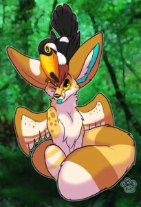 Rating: Safe Score: 0 Tags: 2012 ambiguous_gender avian bird black_body black_fur blondefoxy canid canine chest_tuft detailed_background digital_drawing_(artwork) digital_media_(artwork) e621 feathered_wings feathers fennec_fox feral forest fox fur mammal nature one_eye_closed outside piciform plant smile_lines solo tail toco_toucan tongue tongue_out toucan tree true_fox true_toucan tuft wings User: bunchy7s