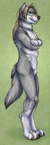 Rating: Questionable Score: 0 Tags: 5_fingers anthro biped brown_eyes brown_hair canid canine canis claws crossed_arms digitigrade e621 eyewear feet fingers fur glasses green_background grey_body grey_fur greye hair inner_ear_fluff korrok male mammal nude ponytail side_view simple_background solo standing tail tuft white_body white_fur wolf User: bunchy7s