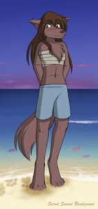 Rating: Safe Score: 0 Tags: anthro beach biped blush bottomwear brown_hair canid canine canis chest_tuft chest_wraps clothed clothing colored conditional_dnp digitigrade e621 female fur hair heterochromia keidran long_hair mammal natani navel outside seaside shorts solo standing tail tom_fischbach trans_(lore) trans_man_(lore) tuft twokinds wolf wraps User: bunchy7s
