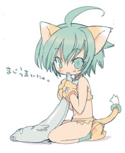 Rating: Safe Score: 0 Tags: animal_humanoid aquatic blade4649 cat_humanoid cham_cham collar e621 felid felid_humanoid feline feline_humanoid female fish green_eyes green_hair hair humanoid mammal mammal_humanoid samurai_shodown samurai_spirits simple_background solo tail white_background young young_female young_humanoid User: bunchy7s
