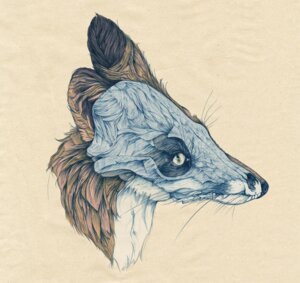 Rating: Safe Score: 0 Tags: ambiguous_gender bone canid canine e621 feral fox fur ganjaa94 hi_res looking_at_viewer mammal pupils realistic red_body red_fur simple_background skull slit_pupils solo surrealism whiskers white_body white_fur yellow_eyes User: bunchy7s