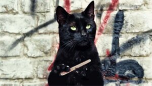 Rating: Safe Score: 0 Tags: ambiguous_gender animated animated_gif black_body black_fur black_nose claws e621 felid feral fur green_eyes humor low_res mammal short_playtime solo unknown_artist whiskers User: bunchy7s Rating: Safe Score: 0 Tags: ambiguous_gender animated animated_gif black_body black_fur black_nose claws e621 felid feral fur green_eyes humor low_res mammal short_playtime solo unknown_artist whiskers User: bunchy7s