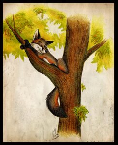 Rating: Safe Score: 0 Tags: 2010 ambiguous_gender black_border black_nose border canid canine culpeofox dipstick_tail e621 feral fox fur inner_ear_fluff leg_markings mammal markings multicolored_body multicolored_fur orange_body orange_eyes orange_fur outside plant socks_(marking) solo tail tail_markings tree tuft whiskers white_inner_ear_fluff wood User: bunchy7s