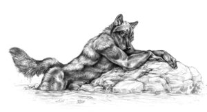 Rating: Explicit Score: 0 Tags: 2010 animal_genitalia animal_penis anthro athletic biceps biped blotch canid canine canine_genitalia canine_penis canis claws e621 genitals greyscale leaf looking_at_viewer lying male mammal monochrome muscular muscular_anthro nude on_front outside partially_submerged pawpads paws penis penis_tip pinup pose raised_tail rock scratches_volume_4 seductive sheath side_view simple_background solo tail traditional_media_(artwork) water wet white_background wolf User: bunchy7s Rating: Explicit Score: 0 Tags: 2010 animal_genitalia animal_penis anthro athletic biceps biped blotch canid canine canine_genitalia canine_penis canis claws e621 genitals greyscale leaf looking_at_viewer lying male mammal monochrome muscular muscular_anthro nude on_front outside partially_submerged pawpads paws penis penis_tip pinup pose raised_tail rock scratches_volume_4 seductive sheath side_view simple_background solo tail traditional_media_(artwork) water wet white_background wolf User: bunchy7s