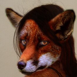 Rating: Safe Score: 0 Tags: 1:1 anthro canid canine e621 female fox generalgrievous2 hair looking_at_viewer low_res mammal photo_manipulation photomorph realistic_anatomy red_hair solo third-party_edit User: bunchy7s Rating: Safe Score: 0 Tags: 1:1 anthro canid canine e621 female fox generalgrievous2 hair looking_at_viewer low_res mammal photo_manipulation photomorph realistic_anatomy red_hair solo third-party_edit User: bunchy7s