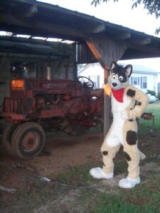 Rating: Safe Score: 0 Tags: 2009 3:4 anthro brown_eyes canid canine canis clothing costume domestic_dog e621 farm frisbee_(character) fursuit grandfathered_content kerchief looking_at_viewer male mammal neckerchief neckwear photography_(artwork) real red_kerchief red_neckerchief solo tractor unknown_artist vehicle User: bunchy7s