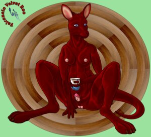 Rating: Explicit Score: 0 Tags: breasts container cup cuprohastes e621 fur genitals herm holding_container holding_cup holding_object humanoid_genitalia humanoid_penis humor intersex kangaroo macropod mammal marsupial nipples nude penis penis_tip pouch_(anatomy) pouch_purse sackless solo tail tea_cup teapot vulva User: bunchy7s