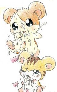 Rating: Explicit Score: 0 Tags: animal_genitalia balls blush bodily_fluids chibi colored_pencil_(artwork) cricetid cum duo_focus e621 erection feral genital_fluids genitals group hamster hamtaro hamtaro_(series) kemono male male/male mammal messy mixed_media nelly pen_(artwork) penis rodent sheath small_penis stan_(hamtaro) stripes toony traditional_media_(artwork) young young_feral User: bunchy7s
