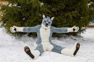 Rating: Safe Score: 0 Tags: anthro biped canid canine canis clothing costume domestic_dog e621 fursuit grandfathered_content husky male mammal nordic_sled_dog real sitting solo spitz tail unknown_artist User: bunchy7s