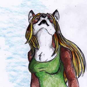 Rating: Safe Score: 0 Tags: 2011 anthro black_nose blonde_hair breasts canid canine chest_tuft clothed clothing cloud e621 female fox foxene foxene_(character) fur hair mammal outside red_body red_fur sky solo traditional_media_(artwork) tuft User: bunchy7s
