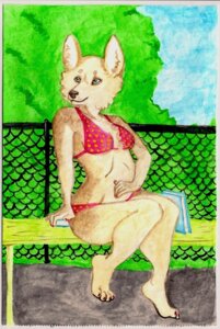 Rating: Safe Score: 0 Tags: anthro bikini book breasts canid canine canis clothed clothing detailed_background domestic_dog e621 ebba female green_eyes herding_dog mammal outside pastoral_dog polka_dots skimpy sky solo swimwear toony two-piece_swimsuit welsh_corgi User: bunchy7s