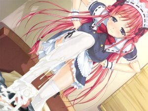 Rating: Explicit Score: 0 Tags: 1boy 1girls blue_eyes braid breasts censored cum cum_on_body cum_on_feet cum_on_leg cum_on_lower_body feet female femdom footjob footjob_with_legwear game_cg happoubi_jin kanojo_x_kanojo_x_kanojo large_breasts long_hair looking_down maid male mosaic_censoring naughty_face naughty_smile orifushi_akina penis pink_hair pov ribbon rule34 shiki_haruomi smile standing standing_footjob straight thighhighs User: bunchy7s Rating: Explicit Score: 0 Tags: 1boy 1girls blue_eyes braid breasts censored cum cum_on_body cum_on_feet cum_on_leg cum_on_lower_body feet female femdom footjob footjob_with_legwear game_cg happoubi_jin kanojo_x_kanojo_x_kanojo large_breasts long_hair looking_down maid male mosaic_censoring naughty_face naughty_smile orifushi_akina penis pink_hair pov ribbon rule34 shiki_haruomi smile standing standing_footjob straight thighhighs User: bunchy7s