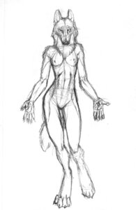 Rating: Questionable Score: 0 Tags: anthro asheru_(setting) black_and_white breasts canid canine canis digitigrade e621 featureless_crotch female fur mammal monochrome niloupar nipples nude scott_ruggels sketch solo tail wolf User: bunchy7s Rating: Questionable Score: 0 Tags: anthro asheru_(setting) black_and_white breasts canid canine canis digitigrade e621 featureless_crotch female fur mammal monochrome niloupar nipples nude scott_ruggels sketch solo tail wolf User: bunchy7s