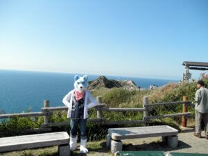 Rating: Safe Score: 0 Tags: 4:3 accessory anthro blue_body blue_fur canid canine canis clothing costume duo e621 fence fur fursuit grandfathered_content headband japan landscape looking_at_viewer male mammal outside real road sky solo_focus unknown_artist water wolf User: bunchy7s