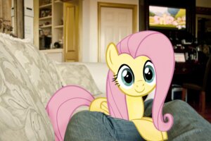Rating: Safe Score: 0 Tags: 2011 blue_eyes bottomwear clothing curtains cutie_mark day denim denim_bottomwear denim_clothing detailed_background door e621 electronics equid equine feathered_wings feathers female feral fluttershy_(mlp) friendship_is_magic furniture hair hasbro inside jeans kitchen mammal mixed_media my_little_pony mythological_creature mythological_equine mythology pants pegasus photo_background photography_(artwork) pillow pink_hair real security security_system smile sofa solo tail television toony unknown_artist wings yellow_body yellow_feathers User: bunchy7s