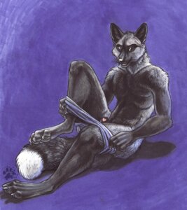 Rating: Explicit Score: 0 Tags: 2009 animal_genitalia animal_penis anthro biped black_body black_fur blotch canid canine canine_genitalia canine_penis claws clothing dipstick_tail e621 feet fox fur genitals hi_res hindpaw looking_at_viewer male mammal markings pawpads paws penis penis_tip purple_background red_fox scratches_volume_3 sheath silver_fox simple_background sitting solo tail tail_markings traditional_media_(artwork) true_fox undressing whiskers white_body white_fur User: bunchy7s Rating: Explicit Score: 0 Tags: 2009 animal_genitalia animal_penis anthro biped black_body black_fur blotch canid canine canine_genitalia canine_penis claws clothing dipstick_tail e621 feet fox fur genitals hi_res hindpaw looking_at_viewer male mammal markings pawpads paws penis penis_tip purple_background red_fox scratches_volume_3 sheath silver_fox simple_background sitting solo tail tail_markings traditional_media_(artwork) true_fox undressing whiskers white_body white_fur User: bunchy7s