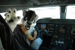 Rating: Safe Score: 0 Tags: aircraft airplane amran amran_(character) anthro biped black_hair canid canine clothing cockpit control_board costume dark_hair domestic_cat e621 felid feline felis fox fursuit grandfathered_content green_eyes hair hybrid inside_airplane inside_vehicle looking_at_viewer male mammal mechanical_instrument monotone_hair pilot real scar short_hair solo vehicle windshield User: bunchy7s Rating: Safe Score: 0 Tags: aircraft airplane amran amran_(character) anthro biped black_hair canid canine clothing cockpit control_board costume dark_hair domestic_cat e621 felid feline felis fox fursuit grandfathered_content green_eyes hair hybrid inside_airplane inside_vehicle looking_at_viewer male mammal mechanical_instrument monotone_hair pilot real scar short_hair solo vehicle windshield User: bunchy7s