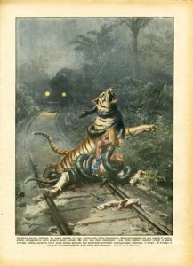Rating: Questionable Score: 0 Tags: achille_beltrame ambiguous_gender anaconda asphyxiation blood boa_(snake) bodily_fluids boinae choking clothing e621 felid feral footwear forest group human imminent_death italian_text jungle knife la_domenica_del_corriere male mammal outside pantherine plant quadruped realistic reptile scalie shoes snake tail text tiger train translated tree vehicle User: bunchy7s