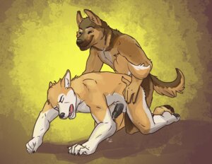 Rating: Explicit Score: 0 Tags: all_fours anal anal_penetration anthro anthro_on_anthro balls black_penis bodily_fluids canid canine canis cum cum_while_penetrated digital_media_(artwork) doggystyle domestic_dog duo e621 ejaculation erection eyes_closed from_behind_position genital_fluids genital_piercing genitals german_shepherd hands-free herding_dog husky male male/male male_penetrated male_penetrating male_penetrating_male mammal moan nordic_sled_dog nude open_mouth orgasm pastoral_dog penetration penile penile_penetration penis penis_piercing piercing prince_albert_piercing raised_tail raymond_(raymond) sex smile smirk spitz tail thestory User: bunchy7s