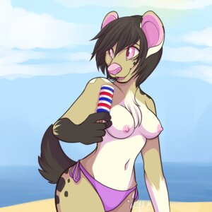 Rating: Questionable Score: 0 Tags: 1:1 anthro breasts candy clothed clothing dessert e621 female food hyena ice_cream mammal minettefraise nipples skimpy solo spotted_hyena tail topless User: bunchy7s