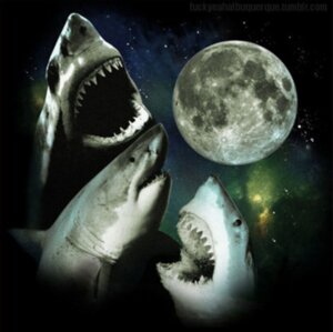 Rating: Safe Score: 0 Tags: ambiguous_gender aquatic e621 feral fish grandfathered_content great_white_shark group low_res mackerel_shark meme moon shark space spacescape star three_wolf_moon unknown_artist white_shark User: bunchy7s