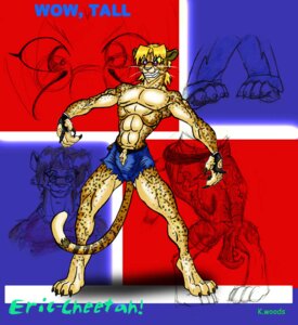 Rating: Questionable Score: 0 Tags: 4_toes abs anthro barefoot biped black-rat bottomwear bulge character_name cheetah claws clothed clothing e621 eric_(black-rat) feet felid feline gloves hair handwear male mammal muscular muscular_anthro muscular_male paws pink_eyes short_hair shorts solo spots standing tail tail_between_legs teeth text toes topless torn_clothing transformation whiskers User: bunchy7s