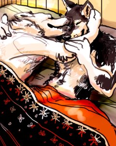 Rating: Safe Score: 0 Tags: 4:5 anthro bed bed_sheet bedding canid canine canis cuddling domestic_dog duo e621 eyes_closed furniture hug java male male/male mammal nude on_bed romantic romantic_couple wolf User: bunchy7s