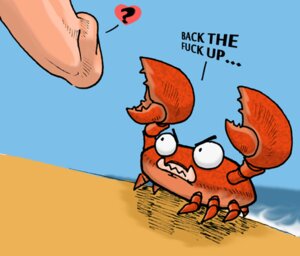 Rating: Explicit Score: 0 Tags: ambiguous_gender angry aquatic arthropod beach crab crustacean decapod detailed_background dialogue disembodied_penis duo e621 english_text erection feral genitals heart_symbol human humor low_res malacostracan male mammal outside penis question_mark reaction_image sand sea seaside sky solo_focus text water x3dreturns User: bunchy7s