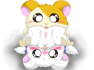 Rating: Explicit Score: 0 Tags: 4:3 anal bijou_(hamtaro) blush butt cricetid duo e621 female feral feral_on_feral folded genitals hamster hamtaro hamtaro_(series) licking male male/female male_rimming male_rimming_female mammal oral rimming rimming_female rodent sex suvaru tongue tongue_out vulva User: bunchy7s Rating: Explicit Score: 0 Tags: 4:3 anal bijou_(hamtaro) blush butt cricetid duo e621 female feral feral_on_feral folded genitals hamster hamtaro hamtaro_(series) licking male male/female male_rimming male_rimming_female mammal oral rimming rimming_female rodent sex suvaru tongue tongue_out vulva User: bunchy7s