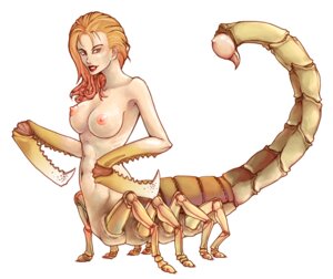 Rating: Explicit Score: 0 Tags: 1girls abs breasts female insect londondaime monster_girl nipples nude orange_hair rule34 scorpion topless User: bunchy7s Rating: Explicit Score: 0 Tags: 1girls abs breasts female insect londondaime monster_girl nipples nude orange_hair rule34 scorpion topless User: bunchy7s