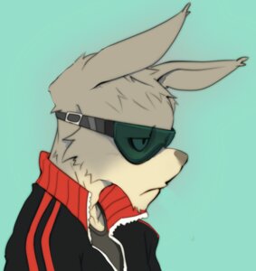 Rating: Safe Score: 0 Tags: anthro bust_portrait e621 eyewear goggles kurokawasudou lagomorph leporid male mammal portrait rabbit side_view solo unimpressed User: bunchy7s