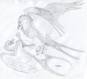 Rating: Explicit Score: 0 Tags: 2012 anus avian bird bodily_fluids cum cum_in_vagina cum_inside duo e621 erection eyes_closed feathered_wings feathers female female_penetrated feral feral_on_feral genital_fluids genitals hirundinid lying male male/female male_penetrating male_penetrating_female monochrome nude on_back oscine passerine penetration penile penile_penetration penis penis_in_vagina sex sketch spread_legs spreading swallow_(bird) vaginal vaginal_penetration vulva windpaw wings User: bunchy7s Rating: Explicit Score: 0 Tags: 2012 anus avian bird bodily_fluids cum cum_in_vagina cum_inside duo e621 erection eyes_closed feathered_wings feathers female female_penetrated feral feral_on_feral genital_fluids genitals hirundinid lying male male/female male_penetrating male_penetrating_female monochrome nude on_back oscine passerine penetration penile penile_penetration penis penis_in_vagina sex sketch spread_legs spreading swallow_(bird) vaginal vaginal_penetration vulva windpaw wings User: bunchy7s