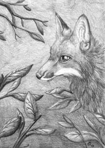 Rating: Safe Score: 0 Tags: 2010 ambiguous_gender black_nose blackdiaraikia canid canine detailed_background disney e621 feral forest fox fur graphite_(artwork) greyscale headshot_portrait mammal monochrome outside plant portrait red_fox snout solo the_fox_and_the_hound traditional_media_(artwork) tree true_fox vixey_(tfath) white_body white_fur wood User: bunchy7s Rating: Safe Score: 0 Tags: 2010 ambiguous_gender black_nose blackdiaraikia canid canine detailed_background disney e621 feral forest fox fur graphite_(artwork) greyscale headshot_portrait mammal monochrome outside plant portrait red_fox snout solo the_fox_and_the_hound traditional_media_(artwork) tree true_fox vixey_(tfath) white_body white_fur wood User: bunchy7s