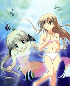 Rating: Explicit Score: 0 Tags: bikini brown_hair female female_only fish futakoi green_eyes long_hair merfolk mermaid monster_girl multiple_females multiple_girls rule34 sasaki_mutsumi shirogane_sara shirogane_souju siblings sisters swimsuit twins underwater User: bunchy7s