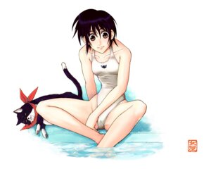 Rating: Questionable Score: 0 Tags: 1girls breasts cat female female_only highleg highleg_swimsuit niigi_g.b. one-piece_swimsuit rule34 shikigami_no_shiro small_breasts solo tagme white_swimsuit User: bunchy7s