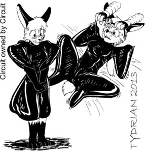 Rating: Explicit Score: 0 Tags: anthro arms_tied ball_gag bdsm bitchsuit blush bodily_fluids bondage bondage_gear bound chicken-wing_tied circuit_(character) duo e621 female frogtied gag gimp_suit lagomorph latex legs_tied leporid mammal monochrome nervous rabbit sweat sweatdrop tydrian User: bunchy7s