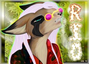 Rating: Questionable Score: 0 Tags: 2007 anthro black_body black_fur black_nose bust_portrait canid canine character_name clothed clothing dipstick_ears drugs e621 ear_markings eyewear fur glasses hair jess_(artist) male mammal marijuana markings multicolored_ears outline pince-nez portrait raccoon_dog rio_(character) shirt smoke solo sunglasses tan_body tan_fur tanuki teal_eyes text topwear white_hair User: bunchy7s