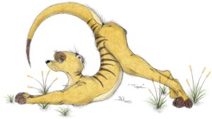 Rating: Explicit Score: 0 Tags: 2007 anthro ass_up balls butt e621 genitals herpestid male mammal meerkat nude presenting presenting_hindquarters raised_tail sherwood solo tail User: bunchy7s