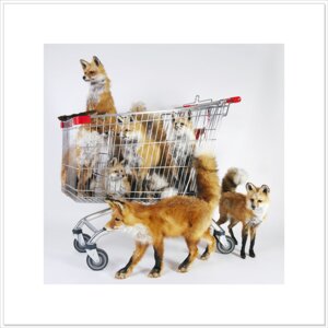Rating: Safe Score: 0 Tags: 1:1 abstract_background ambiguous_gender canid canine e621 feral formal_art fox grandfathered_content group mammal photography_(artwork) plushie real rod_mcrae shopping_cart simple_background taxidermy User: bunchy7s Rating: Safe Score: 0 Tags: 1:1 abstract_background ambiguous_gender canid canine e621 feral formal_art fox grandfathered_content group mammal photography_(artwork) plushie real rod_mcrae shopping_cart simple_background taxidermy User: bunchy7s
