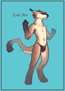 Rating: Explicit Score: 0 Tags: 2014 amber_eyes anthro barefoot biped blue_background bulge claws clothed clothing e621 ear_piercing featureless_chest feet felid fur hi_res leg_markings male mammal markings navel orange_eyes paws piercing simple_background snowskau socks_(marking) solo tetton text thong topless underwear zuriel_beck User: bunchy7s