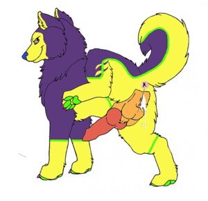 Rating: Explicit Score: 0 Tags: anus balls blue_nose bodily_fluids canid canine canis countershade_border cum digitigrade domestic_dog dripping e621 erection feral fur genital_fluids genitals husky intersex killerwolf1020 knot maleherm mammal master nordic_sled_dog nude penis pinki-husky purple_body purple_fur quadruped simple_background solo spitz tail vulva white_background yellow_body yellow_fur User: bunchy7s Rating: Explicit Score: 0 Tags: anus balls blue_nose bodily_fluids canid canine canis countershade_border cum digitigrade domestic_dog dripping e621 erection feral fur genital_fluids genitals husky intersex killerwolf1020 knot maleherm mammal master nordic_sled_dog nude penis pinki-husky purple_body purple_fur quadruped simple_background solo spitz tail vulva white_background yellow_body yellow_fur User: bunchy7s