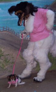 Rating: Safe Score: 0 Tags: ambiguous_gender anthro beastcub canid canine canis clothing costume cursed_image domestic_dog domestic_pet duo e621 feral furries_with_pets fursuit grandfathered_content mammal mini_me real size_difference what what_has_science_done where_is_your_god_now User: bunchy7s Rating: Safe Score: 0 Tags: ambiguous_gender anthro beastcub canid canine canis clothing costume cursed_image domestic_dog domestic_pet duo e621 feral furries_with_pets fursuit grandfathered_content mammal mini_me real size_difference what what_has_science_done where_is_your_god_now User: bunchy7s