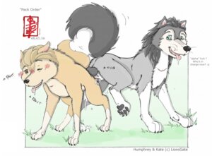 Rating: Explicit Score: 0 Tags: all_fours alpha_and_omega animal_genitalia animal_penis ass_to_ass backsack balls blue_eyes blush bodily_fluids brown_body brown_fur canid canine canine_genitalia canine_penis canis claws crest_animation_studios cum duo e621 english_text female female_penetrated fennec_(artist) feral feral_on_feral fur genital_fluids genitals grass humphrey_(alpha_and_omega) kate_(alpha_and_omega) knot knotting lionsgate male male/female male_penetrating male_penetrating_female mammal nude one_eye_closed outside paws penetration penile penile_penetration penis penis_in_vagina plant reverse_doggystyle rocky_mountain_wolf sex tail text tongue tongue_out vaginal vaginal_knotting vaginal_penetration wolf User: bunchy7s Rating: Explicit Score: 0 Tags: all_fours alpha_and_omega animal_genitalia animal_penis ass_to_ass backsack balls blue_eyes blush bodily_fluids brown_body brown_fur canid canine canine_genitalia canine_penis canis claws crest_animation_studios cum duo e621 english_text female female_penetrated fennec_(artist) feral feral_on_feral fur genital_fluids genitals grass humphrey_(alpha_and_omega) kate_(alpha_and_omega) knot knotting lionsgate male male/female male_penetrating male_penetrating_female mammal nude one_eye_closed outside paws penetration penile penile_penetration penis penis_in_vagina plant reverse_doggystyle rocky_mountain_wolf sex tail text tongue tongue_out vaginal vaginal_knotting vaginal_penetration wolf User: bunchy7s