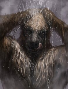 Rating: Safe Score: 0 Tags: 2013 anthro bathroom black_nose brown_body brown_eyes brown_fur brown_hair detailed e621 front_view fur gulonine hair half-length_portrait hand_on_head hi_res licking licking_lips licking_own_lips loculi looking_at_viewer male mammal mustelid musteline naughty_face portrait poster raised_arm self_lick shower solo standing steam teeth tongue tongue_out water wet wet_body wet_fur wolverine User: bunchy7s