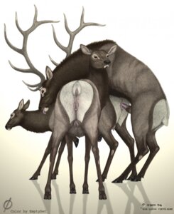 Rating: Explicit Score: 0 Tags: 1990s 1996 20th_century anatomically_correct anatomically_correct_anus anatomically_correct_genitalia anatomically_correct_penis anatomically_correct_pussy animal_anus animal_genitalia animal_penis animal_pussy antlers anus breasts cervine cervine_anus cervine_genitalia cervine_penis cervine_pussy crotchboobs deer elk emptyset female feral fur genitals hooves horns male mount penetration penis pussy recolor rule34 sex straight tim_o'rourke vaginal_penetration year User: bunchy7s