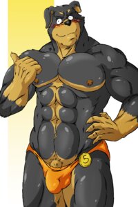 Rating: Questionable Score: 0 Tags: 2013 2:3 abs anthro biceps big_muscles biped black_body black_fur black_nose blush brown_body brown_fur bulge canid canine canis claws clothed clothing domestic_dog e621 funeral-paws fur grin hi_res latrell_williams looking_at_viewer male mammal mastiff molosser muscular muscular_anthro muscular_male nipples pecs pose pubes rottweiler smile solo speedo standing swimwear tight_clothing topless underwear User: bunchy7s Rating: Questionable Score: 0 Tags: 2013 2:3 abs anthro biceps big_muscles biped black_body black_fur black_nose blush brown_body brown_fur bulge canid canine canis claws clothed clothing domestic_dog e621 funeral-paws fur grin hi_res latrell_williams looking_at_viewer male mammal mastiff molosser muscular muscular_anthro muscular_male nipples pecs pose pubes rottweiler smile solo speedo standing swimwear tight_clothing topless underwear User: bunchy7s