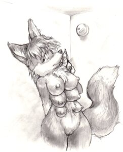 Rating: Explicit Score: 0 Tags: 6_breasts anthro breasts canid canine chest_tuft e621 female fox fur genitals greyscale hair mammal monochrome multi_breast nipples nude nullenigma solo supernumerary_breasts tail tuft vulva User: bunchy7s